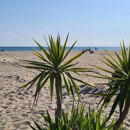 Joli T2 avec jardin plage Richelieu - 6 personnes Agde Buitenkant foto